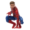 Hasbro Marvel Legends Series Spider-Man