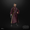 STAR WARS The Black Series Padmé Amidala